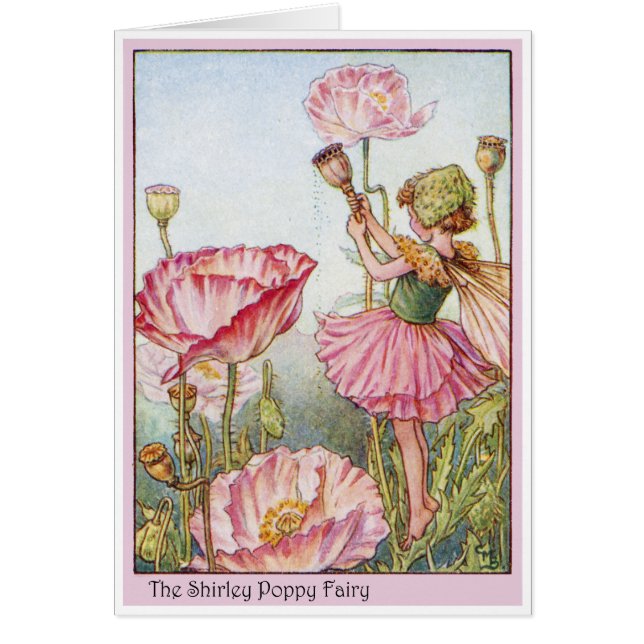 Shirley Poppy Fairy (Frente)