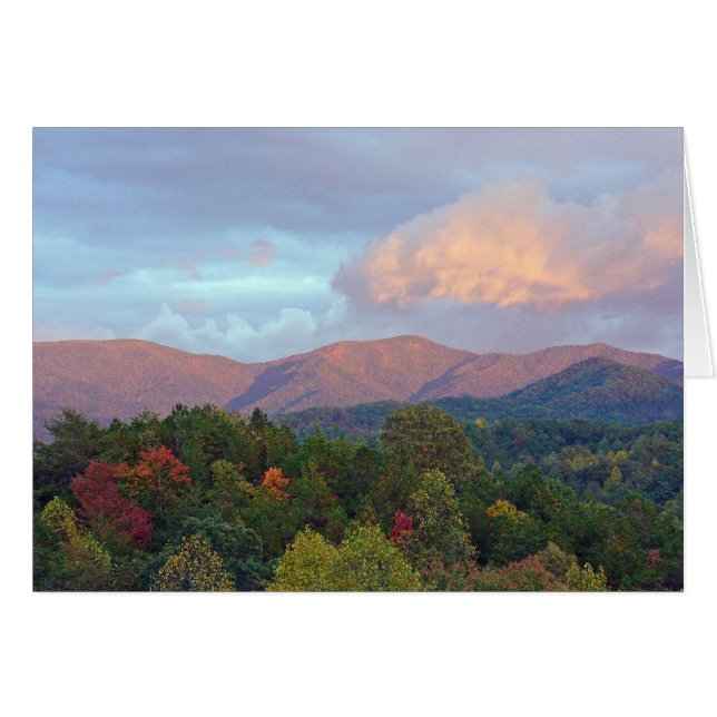 Shooting Creek (Anverso (Horizontal))