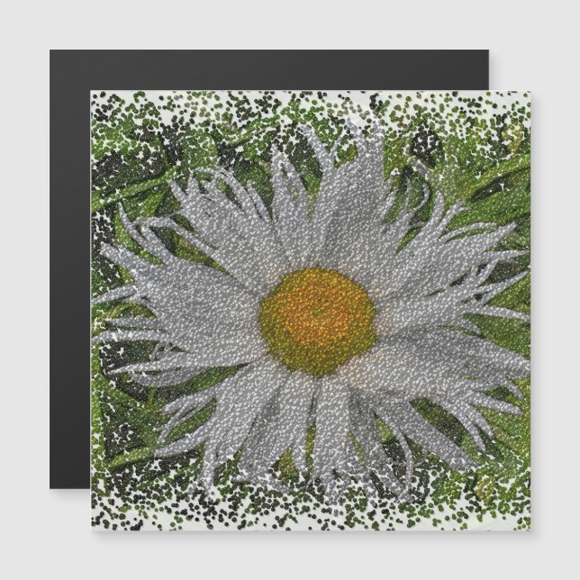 Show Me A Daisy #1 Magnetic Card (Anverso/Reverso)