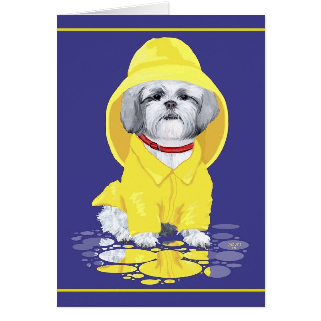 Showers Shih Tzu April (Frente)