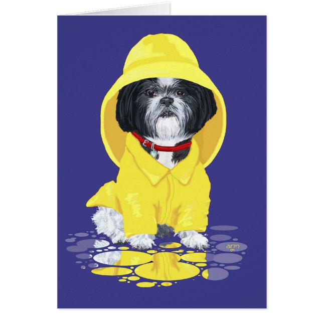 Showers Shih Tzu April (Frente)