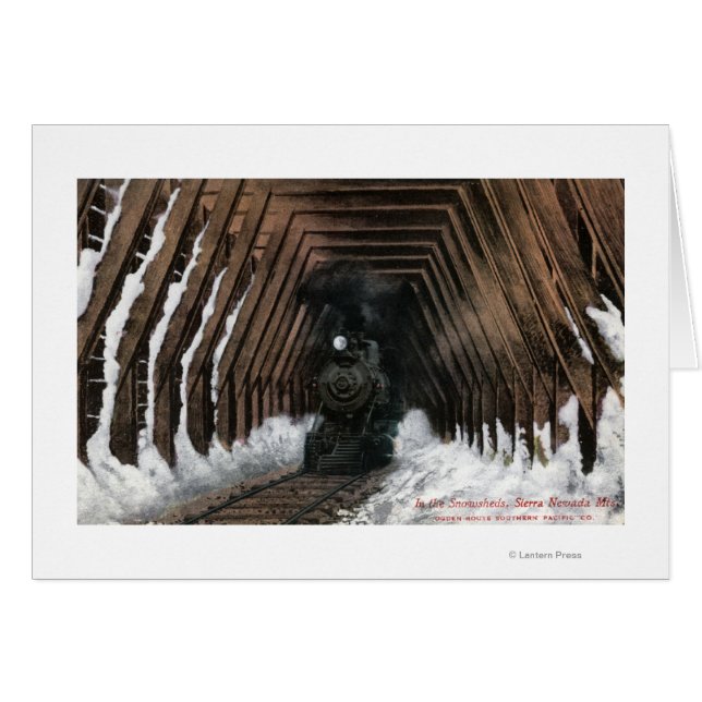 Showsheds Railroad (Anverso (Horizontal))