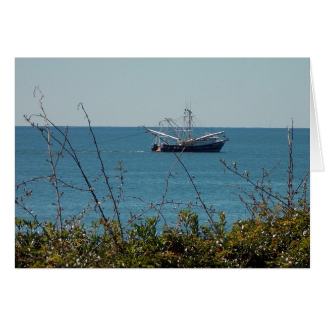 Shrimp'n (Anverso (Horizontal))