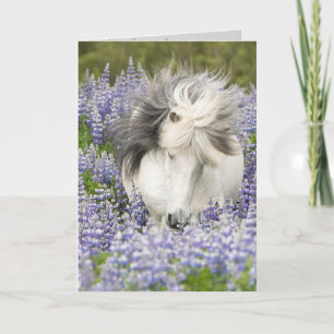 Shy Lupine Mare Tarjeta de felicitación para cabal