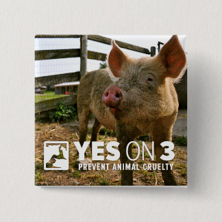 ¡Sí en 3! Mini botón