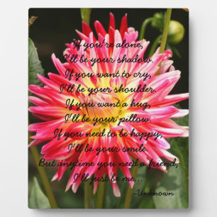 Si estás solo... Placa