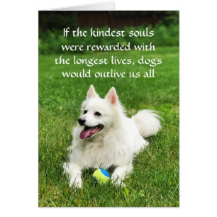 Si las almas más amables - Tarjeta de arte de 5" x