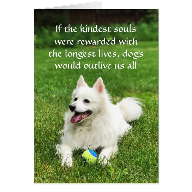 Si las almas más amables - Tarjeta de arte de 5" x (Frente)