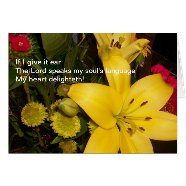 Si le doy una tarjeta de oreja (Anverso (Horizontal))