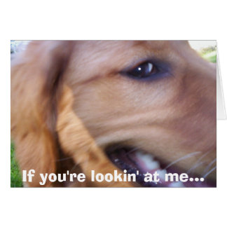 Si me estás mirando...