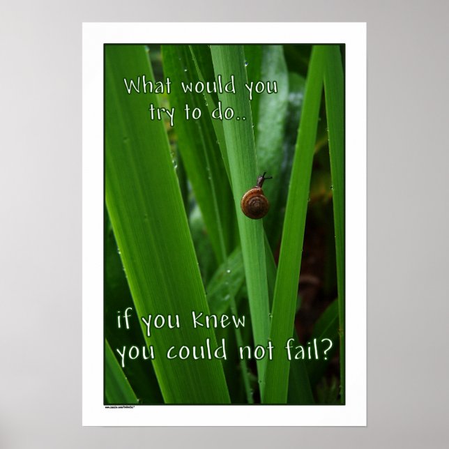 Si no se puede fallar la impresión del Poster (Frente)