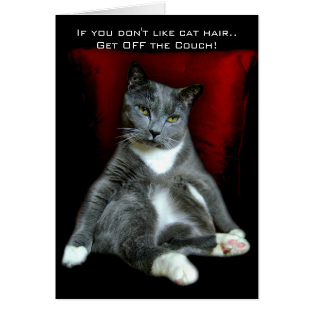 Si no te gusta el pelo de gato. ¡Salgan del sofá! (Frente)