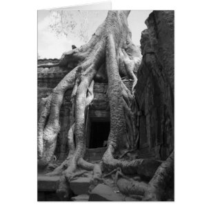 Siam Reap, Camboya. Justo fuera de Siam Reap,