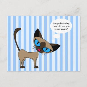 Siamés - Feliz cumpleaños, años de gato - postal