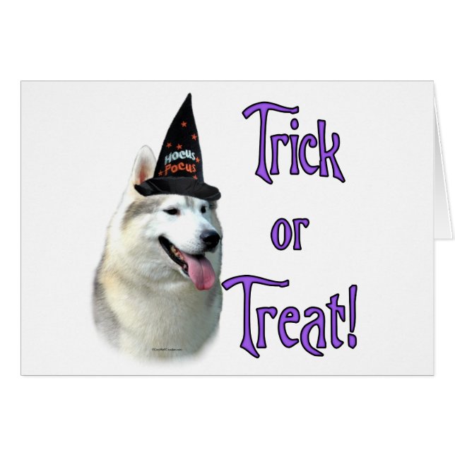 Siberian Husky Trick (Anverso (Horizontal))