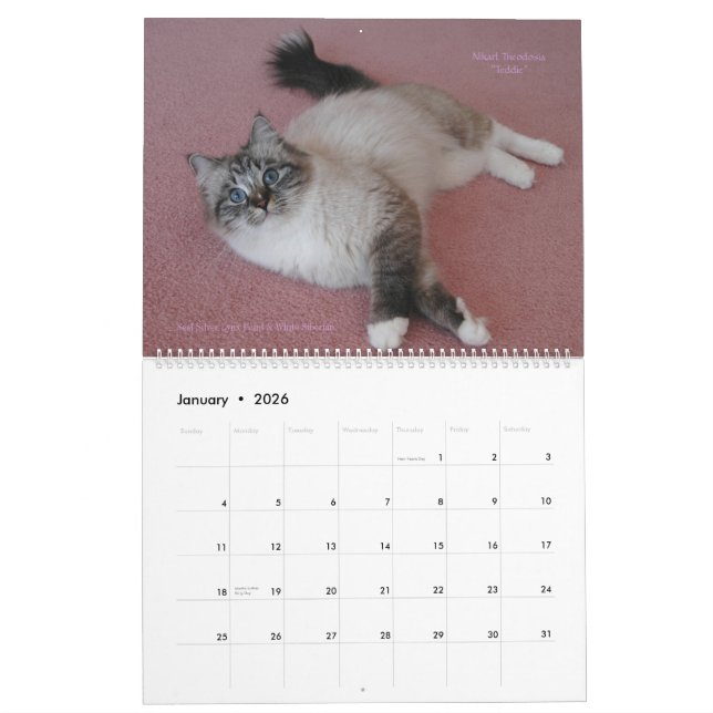 Siberianos gatos calendario del enero de 2014 a (Jan 2026)