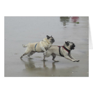 Sid Precious y Hemi en Dog Beach, San Diego