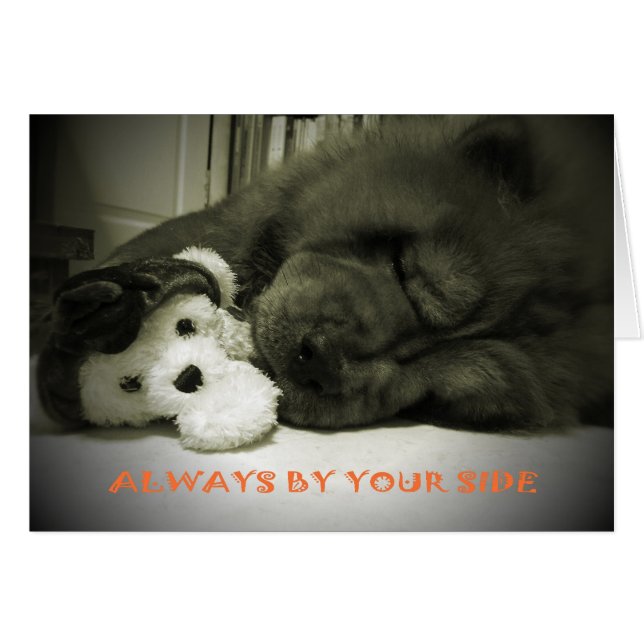 Siempre a su lado (Anverso (Horizontal))