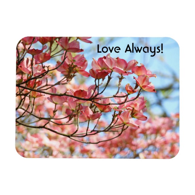 ¡Siempre Amor! imanes Flores de Perro Pink Dogwood (Horizontal)