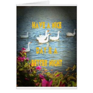 Siempre dejamos satisfechos a nuestros clientes.