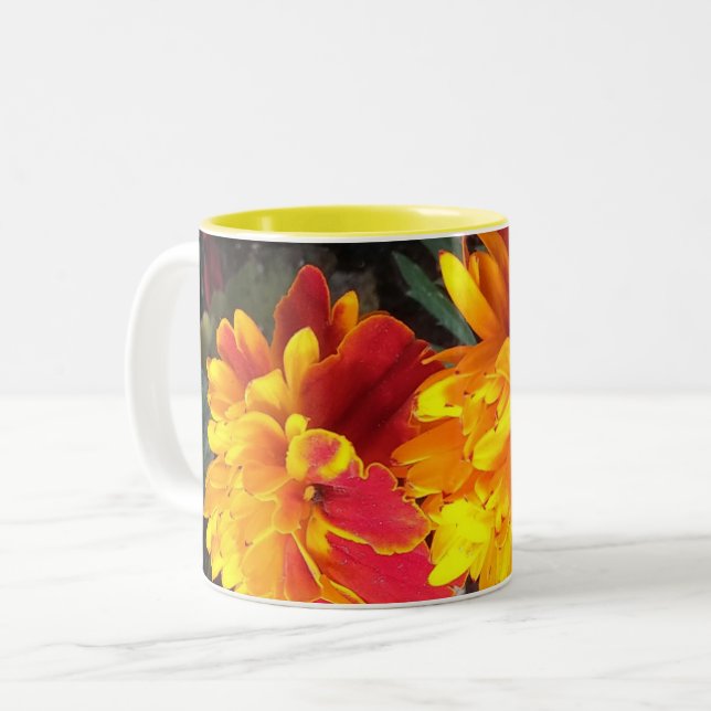 Siempre en taza de la maravilla de la floración (Anverso izquierdo)