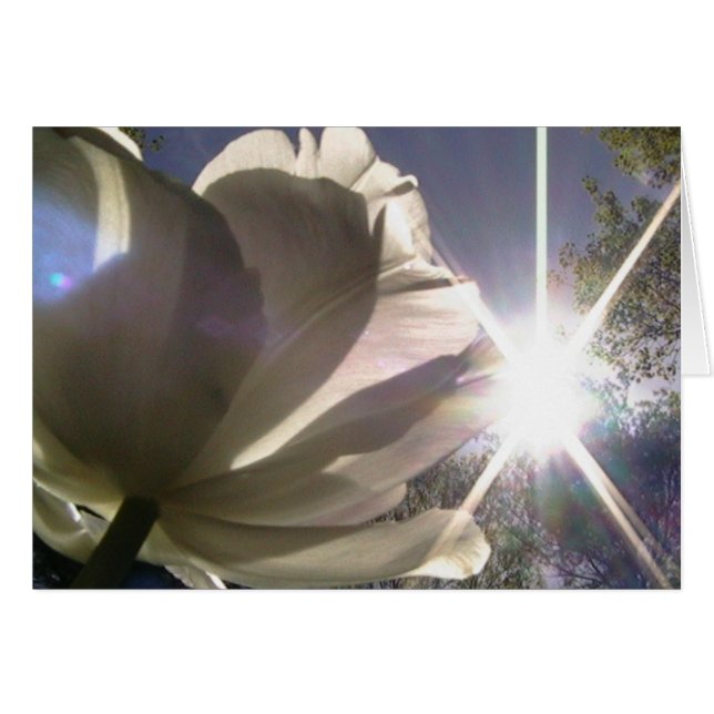 siempre hacia la sol (Anverso (Horizontal))