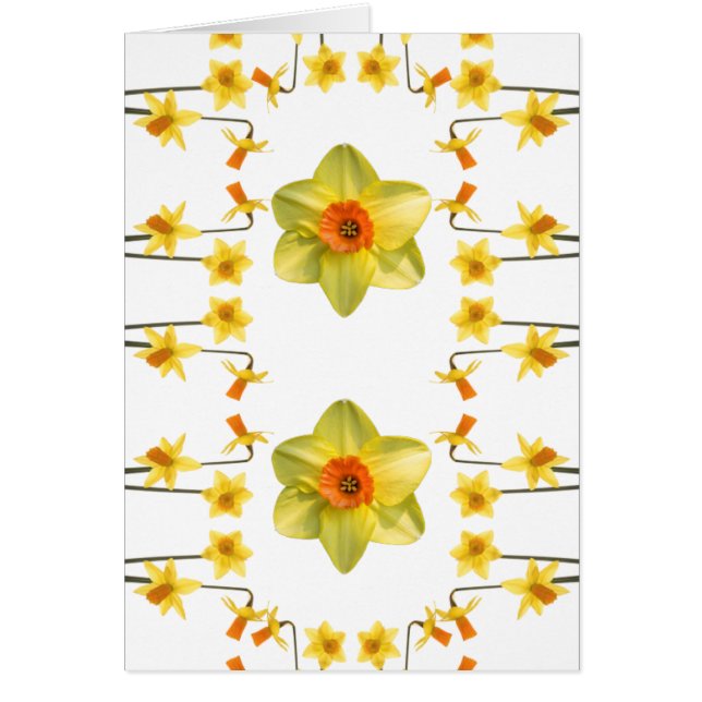 Siempre primavera (Frente)