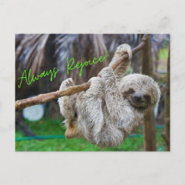 Siempre regocijo al colgar la postal