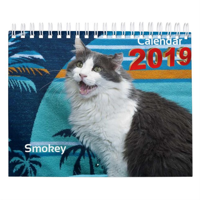 Siempre y para siempre calendario cobrable 2019 (Tapa)