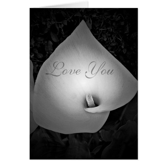 Siempre y siempre, amor_ (Frente)