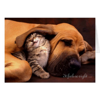 Siente tan la derecha el estar con usted