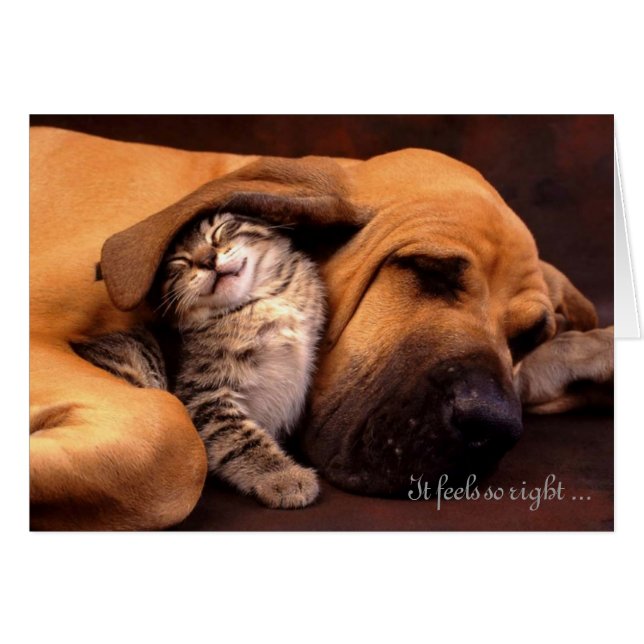 Siente tan la derecha el estar con usted (Anverso (Horizontal))