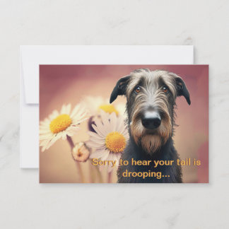 Siéntete mejor pronto Wolfhound irlandés