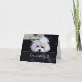 Siento la tarjeta en blanco