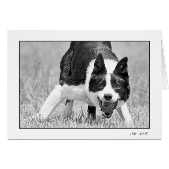 Siesta (Anverso (Horizontal))