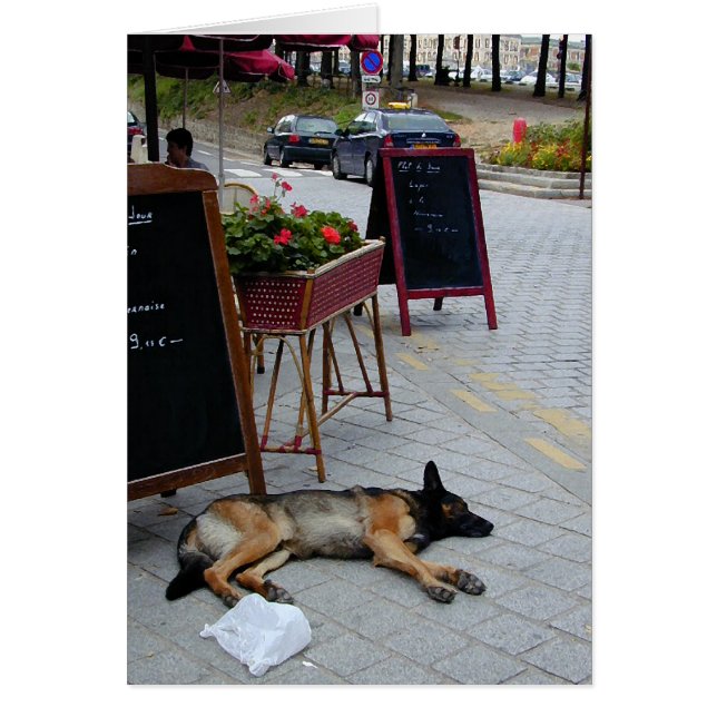 Siesta de la tarde (Frente)