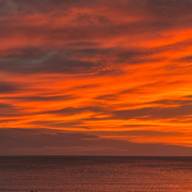 Siesta Key Sunset Leggins (Subido por el creador)