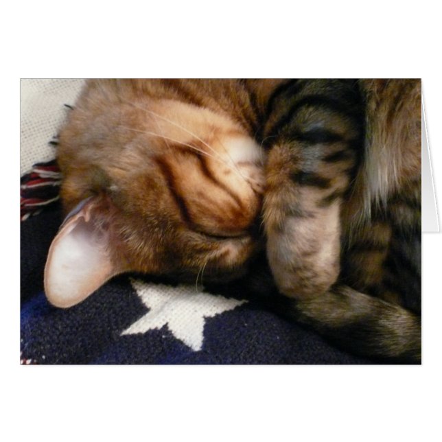 Siesta patriótica (Anverso (Horizontal))