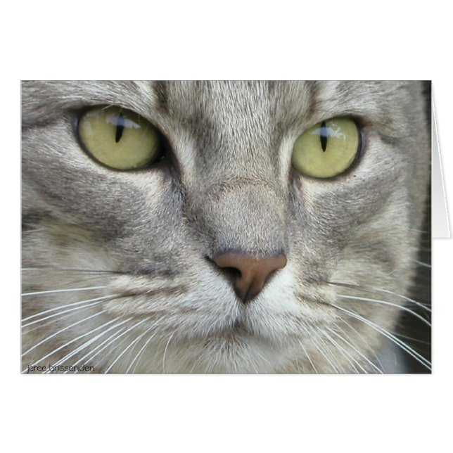 Siete (Anverso (Horizontal))