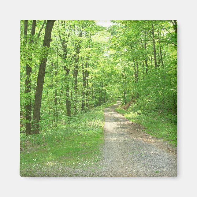 Siete imán de primavera (Frente)