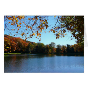 Siete manantiales caen árboles y estanques