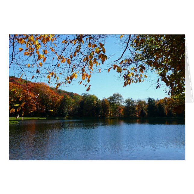 Siete manantiales caen árboles y estanques (Anverso (Horizontal))