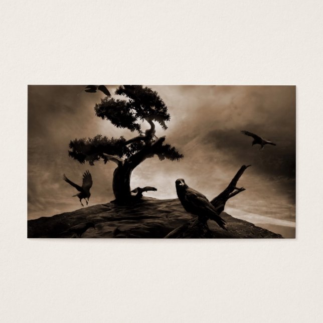Siete Ravens (Frente)