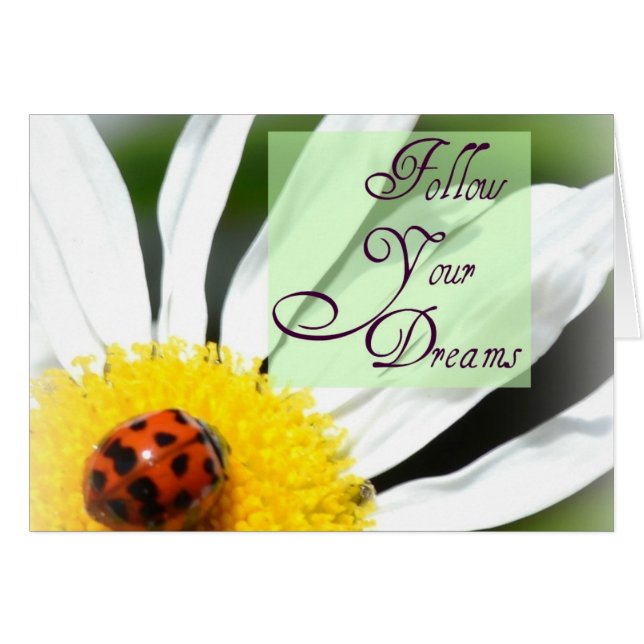 Siga su tarjeta de la mariquita de los sueños (Anverso (Horizontal))