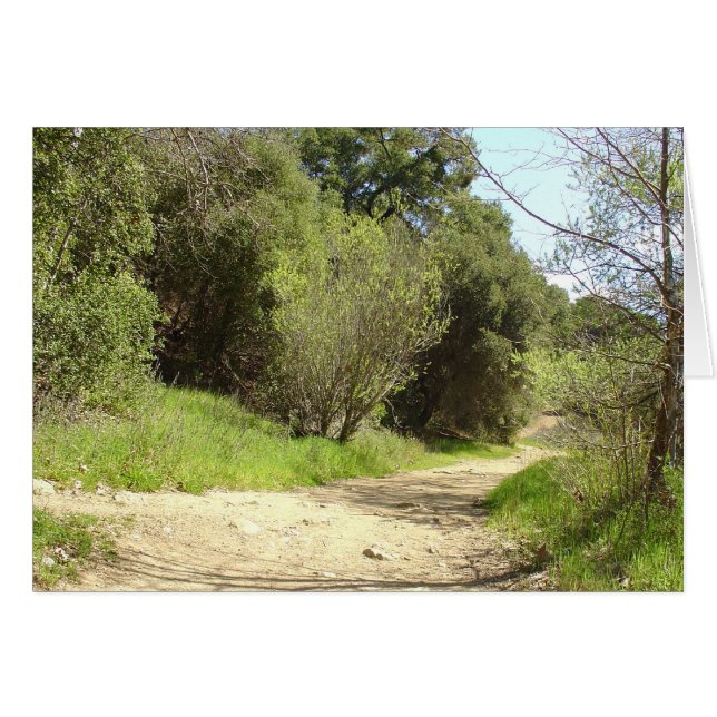 Sígame (Anverso (Horizontal))