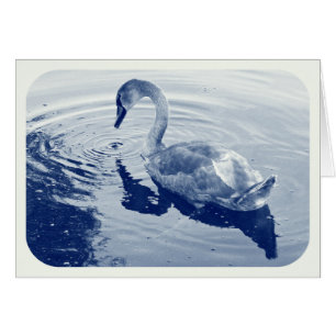 Signet Swan - Cyanotype digital