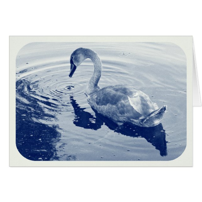 Signet Swan - Cyanotype digital (Anverso (Horizontal))