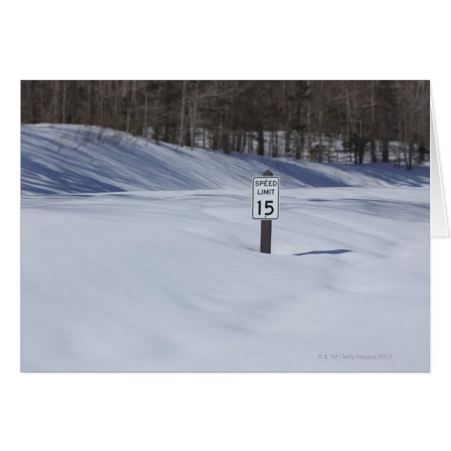 Signo de 15 mph enterrado en la nieve (Anverso (Horizontal))