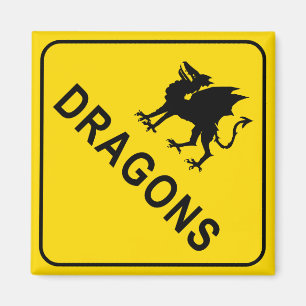 Signo de advertencia de dragones imán cuadrado
