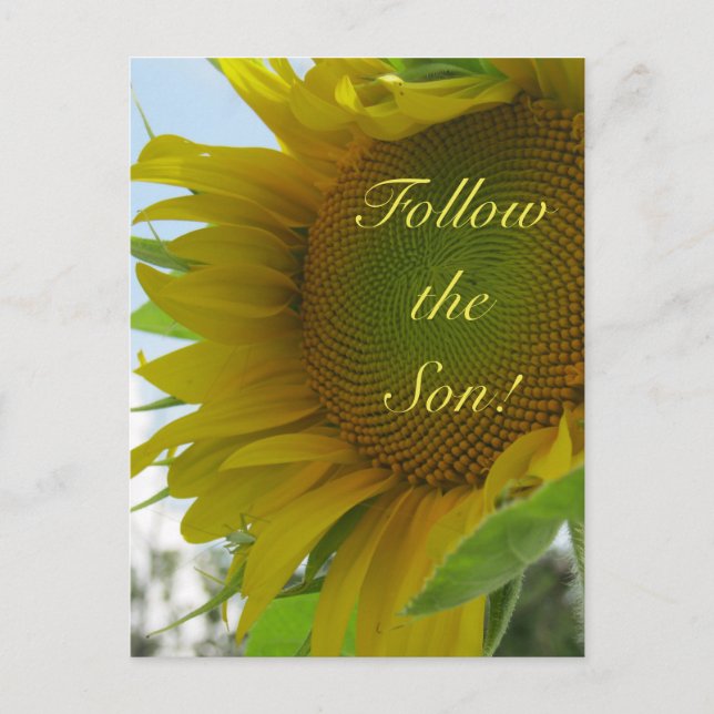 ¡Sigue al hijo! Mensaje cristiano en una postal (Anverso)